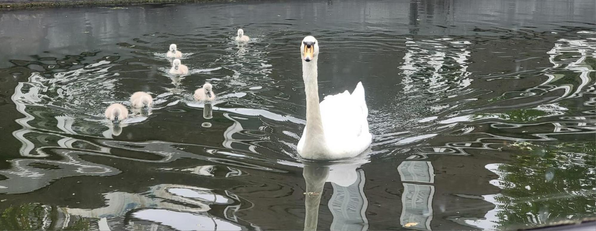 Comfy Canal Boat In Little Venice For Family & Friends Londres Exterior foto
